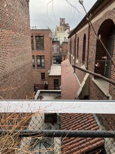 Panic in the Streets