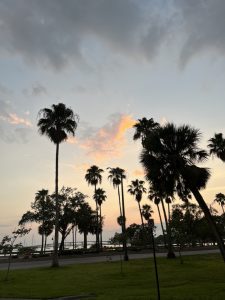 The Last Flight of Daedalus